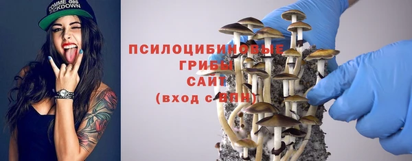 apvp Ладушкин