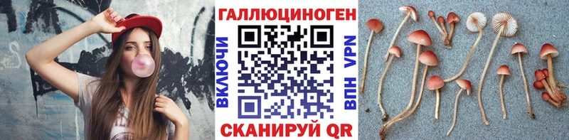 Псилоцибиновые грибы Psilocybine cubensis  магазин  наркотиков  Медвежьегорск 